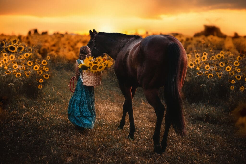 golden hour sunflower session with horse and girl in teal dress