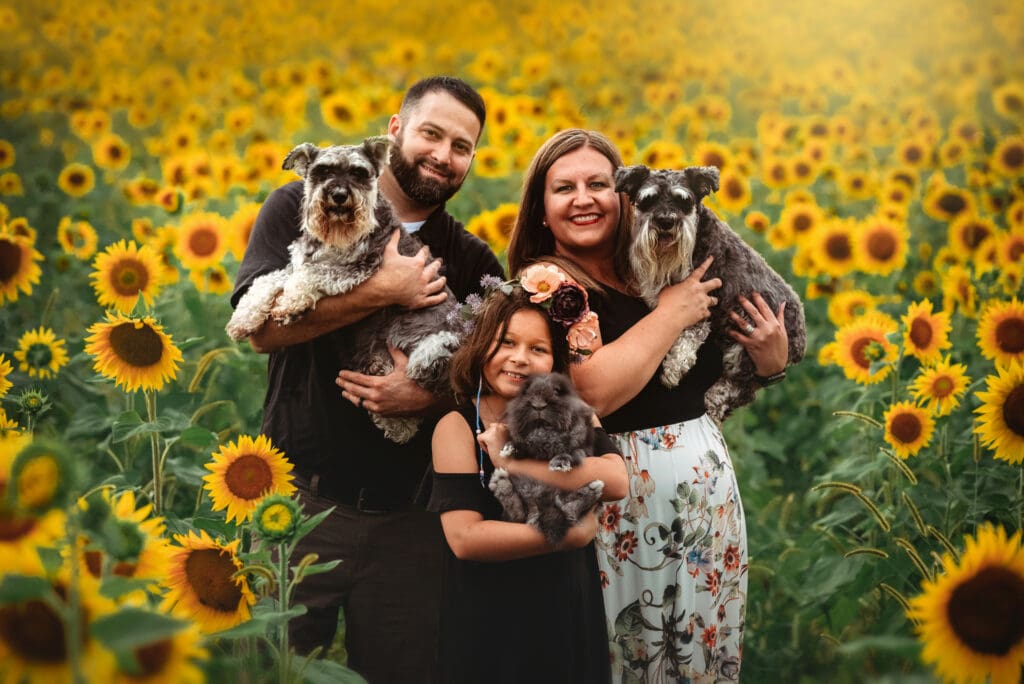 sunflower portrait of family with 2 dogs and a bunny