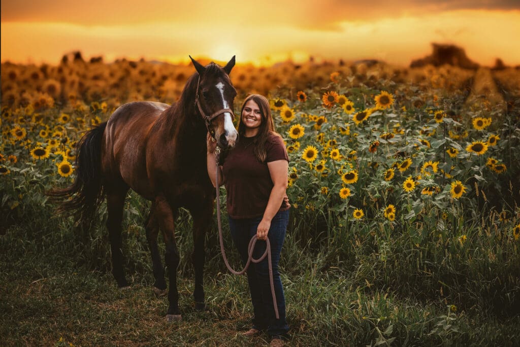 horse portrait in the sunflowers at golden hour