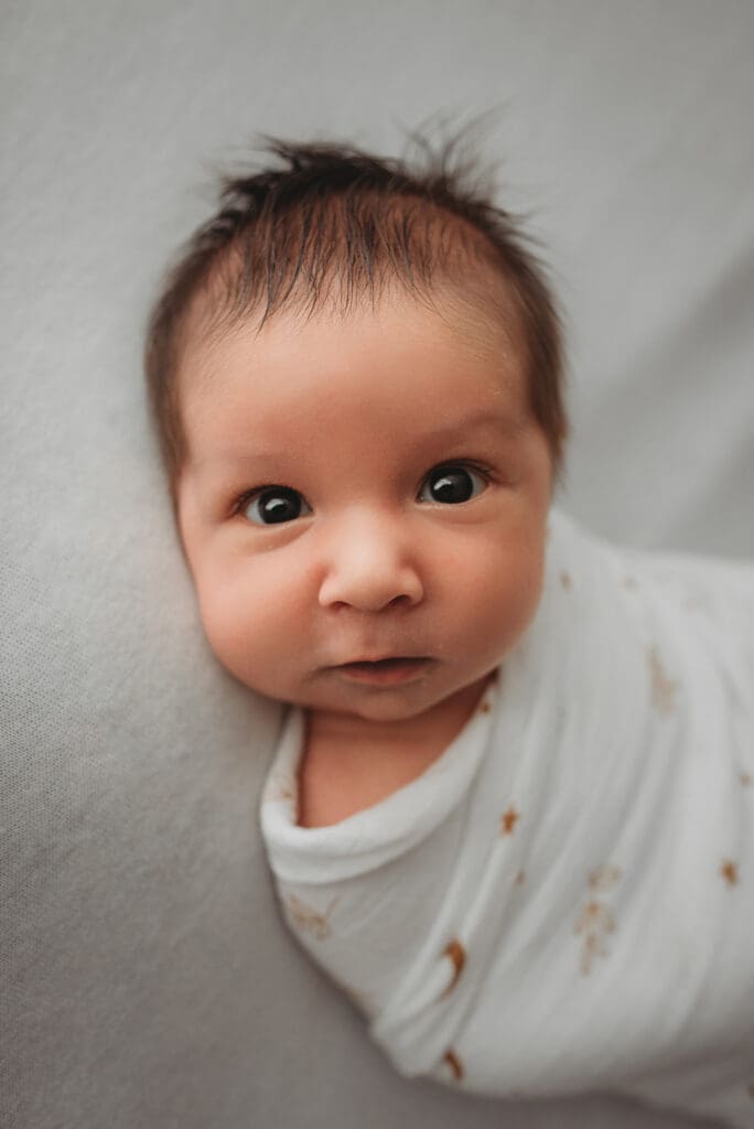 newborn photographer columbus ohio