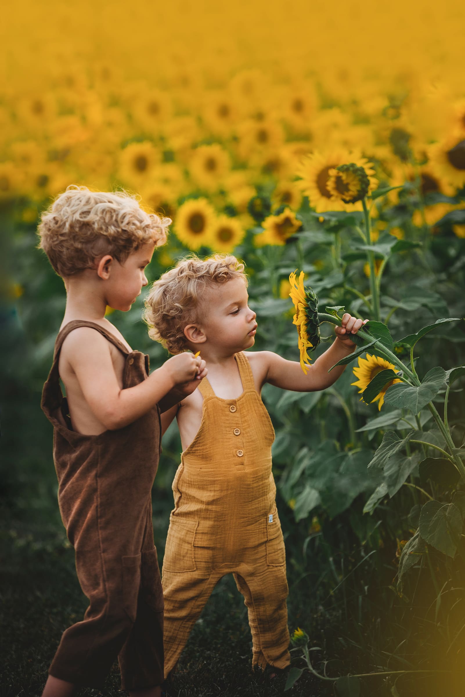 two brothers looking at sunflowers wear brown and mustard overalls